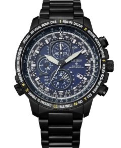 Citizen Promaster Sky Watch AT8195-85L